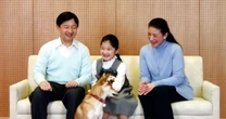 愛子さまにとっては「妹のような存在」だった…天皇家の「ペットロス」の深刻ぶり