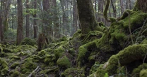 富士山に「埋まっていたもの」は…『ざんねんないきもの事典』動物学者の背筋が凍る体験