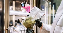 日本でも「産業用大麻ブーム」を起こしたい…！「安全・安心協議会」をつくった元大物官僚たちの狙い