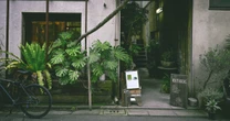 本と植物と人が交わる東京・上野の書店「ROUTE BOOKS」――選書担当が勧める3冊とその空間の魅力