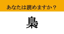 【難読漢字】「梟」って読めますか？ 「鳥」が入っているけど「とり」とは読みません....