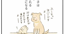 イノシシ捕獲用の檻から保健所へ「誰からも選ばれなかった」シニアの保護犬の最後の家族