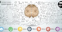 「数学」で「脳の仕組み」を解明する…？ 異端の学問「数理脳科学」が「原理」を暴く！