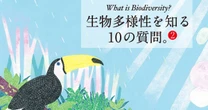 1分間に東京ドーム約2個分の森林が消失している…地球温暖化がこのまま進むとどうなるのか