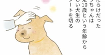 高齢の保護犬を里親に託した「預かりさん」が最後の別れの時に決して「しなかったこと」