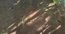 【硫黄島の謎】岩に刻まれた「村松」とは誰だったのか…島の子供を可愛がった兵士を追う