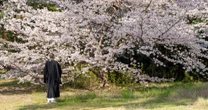 なぜ日本社会で「ジミ葬」や「直葬」が増えたのか「納得の理由」