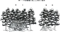 日本軍の「軍部極秘マニュアル」が”まさかの復刊”で、話題騒然…！ 日本軍の「野戦飛行場建設」、その”ヤバすぎるマニュアル”の中身を明かす