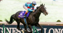 【ラウンドワン】【東京都競馬】優待投資「夏の鉄則」を一挙公開！超お得、超楽しいレジャーを味わう方法