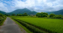 暴風、豪雨、過酷すぎる農作業だけじゃなかった…田舎に移住した50代マンガ家を待ち受けていた「ヤバすぎる奴ら」
