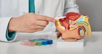 前立腺がんの手術はどうなる？　前立腺を切除したら神経はどうなるの？