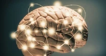 じつは「人間の脳」が「生成AI」より優れている!?…人間の脳より優秀だと思われがちなAIの「意外な欠点」