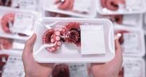 なぜスーパーのタコはどれも《モーリタニア産》ばかりなのか…現地にタコ漁を広め、英雄となった日本人の「壮絶な生きざま」