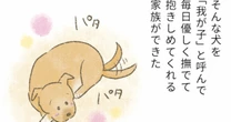 産後、病を抱えるシニア保護犬の里親が「預かりさん」に送った「分厚い封筒」驚きの理由