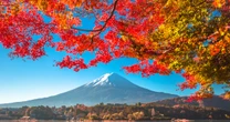 「日本人ファースト！」が心に響いた在外日本人が「ドイツの自国民ファースト」に触れて感じた「日本のインバウンド政策」のやり過ぎ感