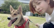 個人的に「超絶エモい」エッセイに…紗倉まなを「厄年」から救った愛犬との暮らし