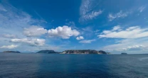 まるで別種のように多彩なのに「一つの種」…進化学者が「絶海の孤島」で見つけた「進化のパーツ」