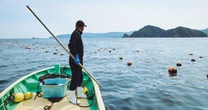 海を守りながら、おいしく食べる。セブン＆アイグループがめざす持続可能な養殖業[PR]