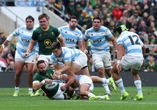 Reinach: Bokke het groot aanslag verwag van Poema-span met ‘hond’