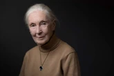Jane Goodall, primaatkenner en kampvegter, sterf op 91