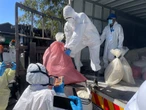 Meeste dwelms in SA kom van Asië, Suid-Amerika – Masemola