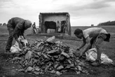 Zama-zamas wil wettig werk, maar vrees oorregulasie