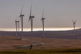 Vissersparadys verloor stryd teen groenenergie