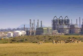 PetroSA los omstrede Russiese kontrak by voormalige Mossgas