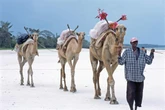 Toerisme: Ander Afrika-lande sit SA ore aan