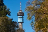 Telkom se aandele spring ná nuus oor moontlike MTN-transaksie
