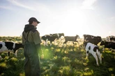 Suiwelbedryf het nog baie stoom in taai markomgewing