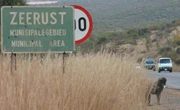 Zeerust: Provinsie gryp eindelik in nadat Mkhize toetree