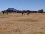Stellenbossers vier reünie met boskrieket in middel van Namibiese bosveld