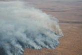 Reusebrand in Etosha onder beheer, sê minister