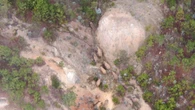 Elephant herd moving through China spotted in Yunnan Province