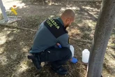 Investigan a un hombre por matar a más de 100 gatos envenenándolos en Villaluenga de la Sagra (Toledo)