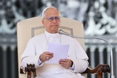 El Papa León XIV sobre Gaza: "La palabra genocidio se usa cada vez más, pero la Santa Sede no puede hacer ninguna declaración al respecto en este momento"