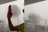 Palmeras enormes partidas en dos, caos en comercios, calles anegadas... Tormentas en el Mediterráneo