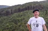 ¿Por qué Pinares, la comarca más forestal de España, está vacunada contra los incendios? El milagro de una costumbre medieval