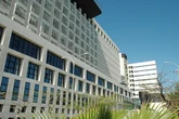 El Servicio Canario de Salud es condenado a pagar 60.000 euros por dar de alta a un paciente de 61 años que estaba desorientado