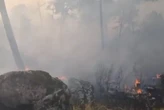 Al menos seis trenes afectados por la interrupción del tráfico por un incendio en San Bartolomé de Pinares (Ávila)