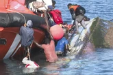 El Cabildo de El Hierro pide revisar los protocolos de salvamento: "No puede ser que se nos muera la gente en el muelle"