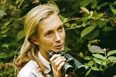 El lado más íntimo de Jane Goodall: dos matrimonios, un hijo y la convicción de no necesitar otro marido: "Mi vida está completa"