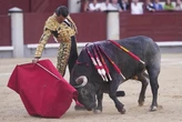 Uceda Leal reverdece los laureles del clasicismo; La Quinta homenajea a los criadores de bravo en Las Ventas