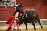 Pablo Aguado levanta un prodigio sobre las ruinas de la tarde y el cadáver de Juan Ortega en Las Ventas