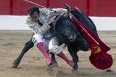 Damián Castaño, heroico con las carnes abiertas ante miuras de hiel y miel en Santander