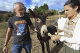 'Risto', el burro que avisó de que el fuego llegaba a Molinaseca: "Vimos las llamas después, justo donde él miraba"