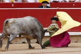 Premios de Pamplona: Feria del Toro para José Escolar; Carriquiri para Jandilla (Histórico) y Cebada Gago (Lioso)