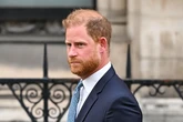 Termina la investigación: el príncipe Harry, "desolado" y furioso por haber perdido el control de su ONG africana