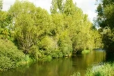 Muere un adolescente de 14 años tras golpearse la cabeza cuando se bañaba en el río Bernesga en La Seca (León)